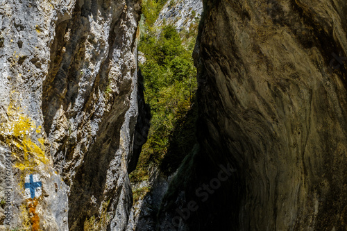 Ramet gorges from Transylvania, Trascau mountains, Alba county, Romania