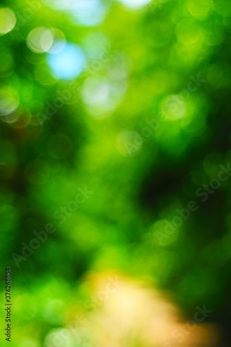 green bokeh abstract background