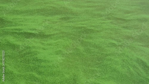 Green water in the river from algae. The water is blooming. Green waves. Ecology.