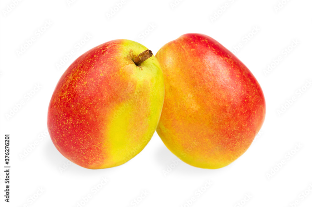 Two pears isolated on a white background.
Two pears isolated on a white background.