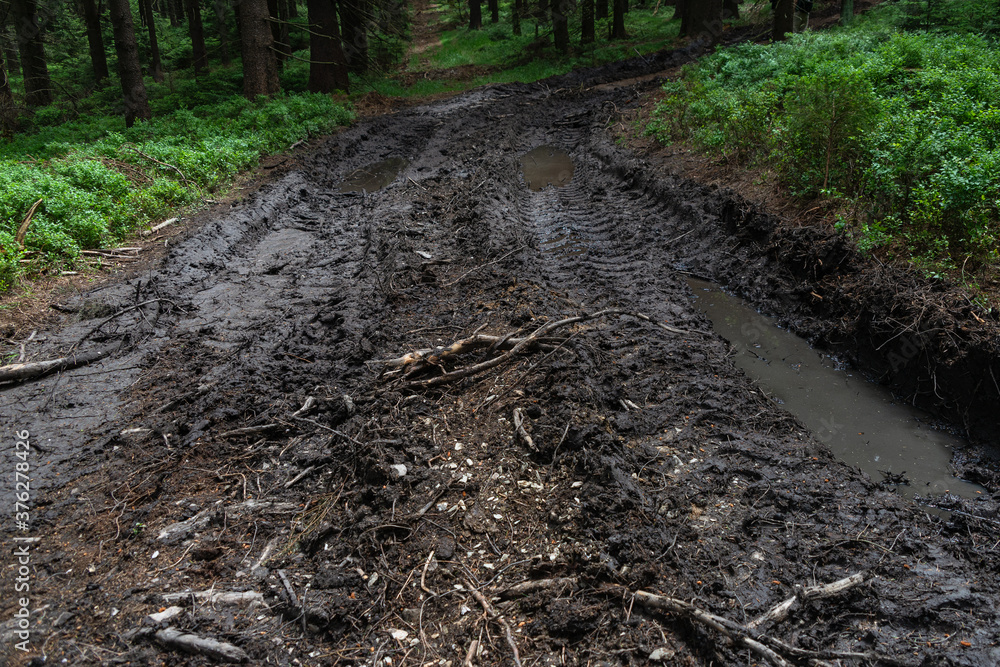 Mud track of-road forest trail dirt path muddy Mud track of-road forest trail dirt path muddy