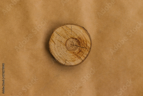 A section of the tree trunk lies on two types of Kraft paper. Eco-friendly packaging.