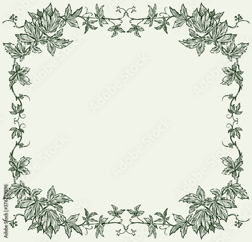 Vector image of decorative floral frame from grape vine sketches