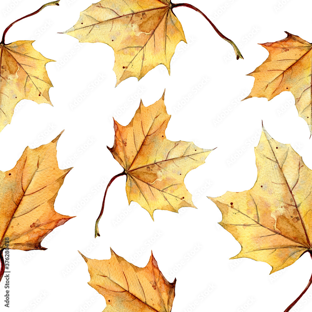 Watercolor seamless pattern of autumn leaves Watercolor seamless pattern of autumn leaves