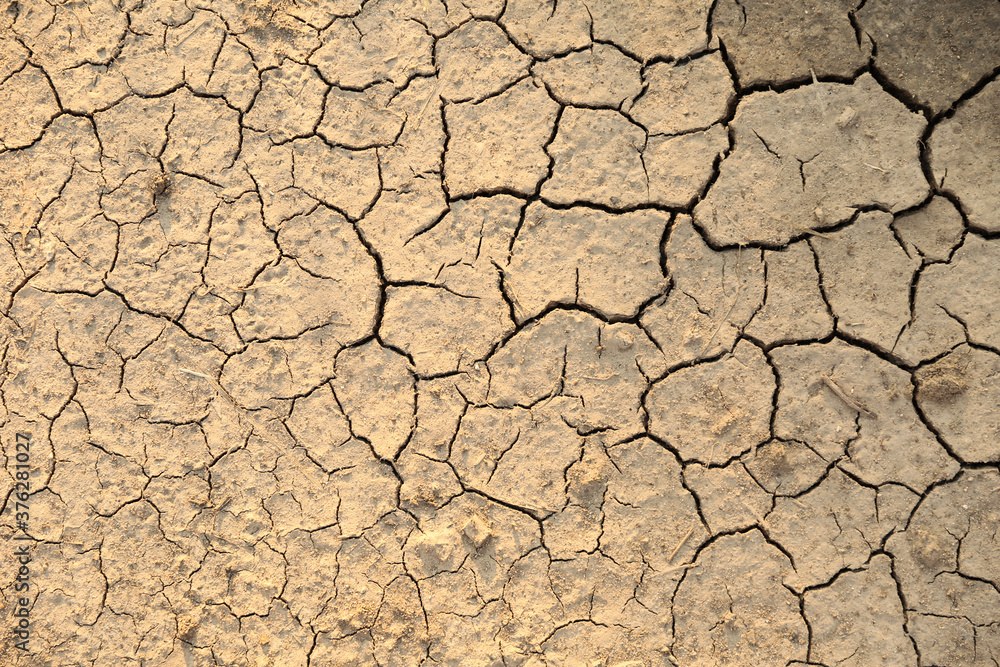 texture of dry cracked ground texture of dry cracked ground