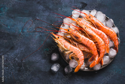 Argentine shrimps ocean jumbo shrimps on dark background copy space. photo
