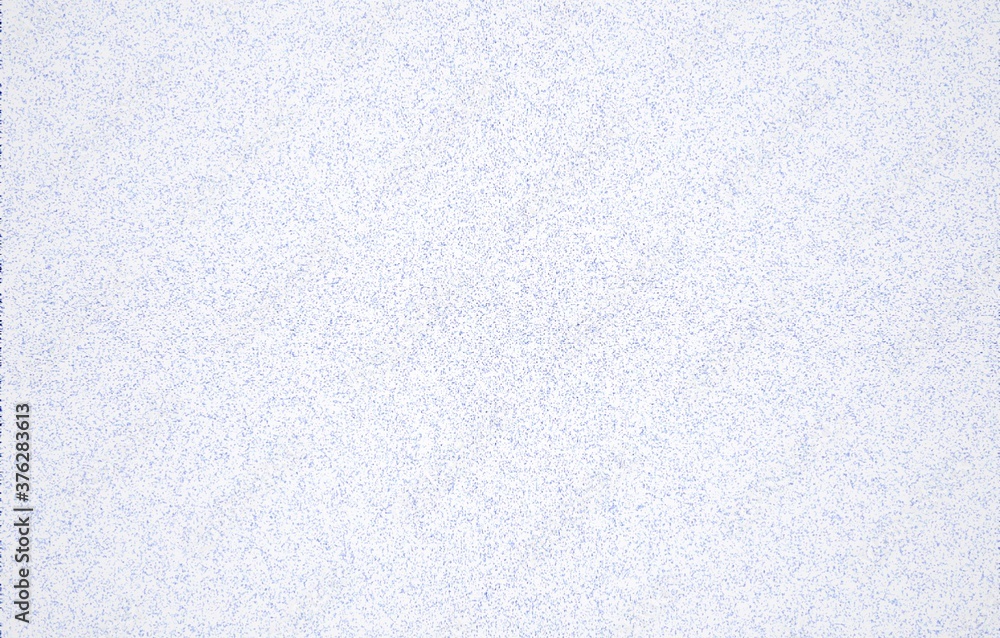 white paper texture white paper texture