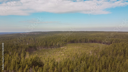 Aerial view of the Vuoksi river  the forest and the settlement in autumn day  Losevo  Leningrad Oblast  Russia