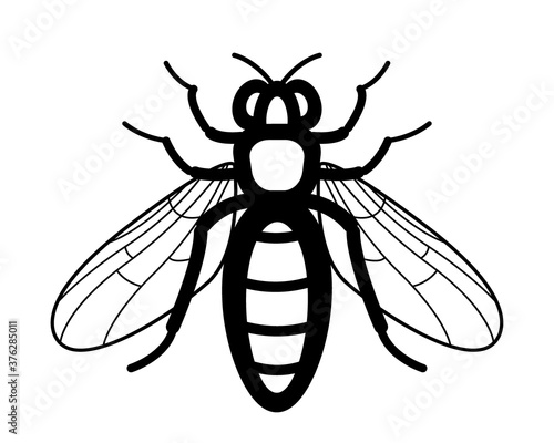 Bee insect contour icon
