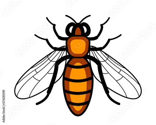 Bee insect icon
