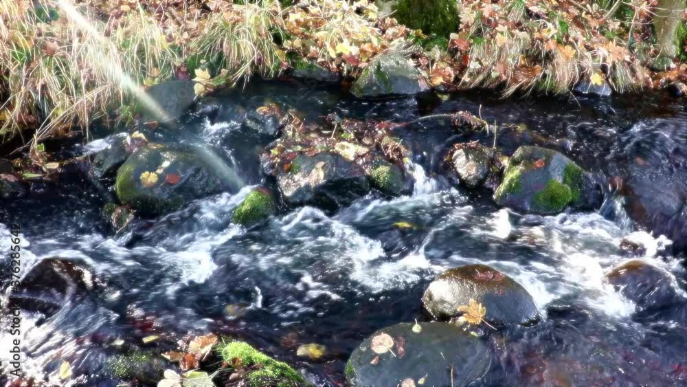 Sun rays shine on a water cascade in the brook. Autumn creek with fallen colorful leaves. Autumnal rivulet with rocks. Sun rays shine on a water cascade in the brook. Autumn creek with fallen colorful leaves. Autumnal rivulet with rocks.