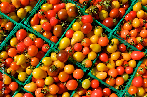 Heirloom cherry, plum, pear and grape tomotoes in baskets at farmers market  photo