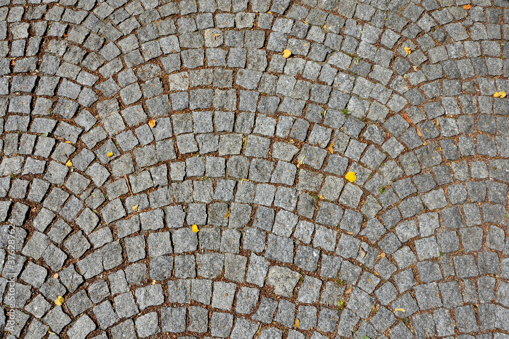 texture of stone paved walkway with autumn leaves