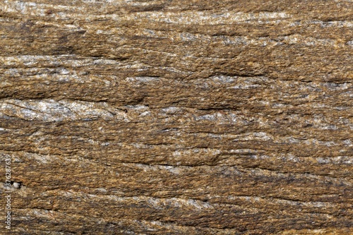 Texture of the surface of a mica schist photo