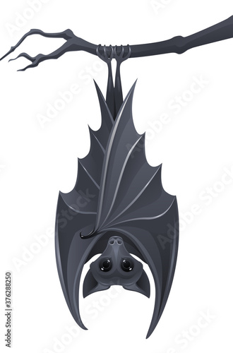 Bat