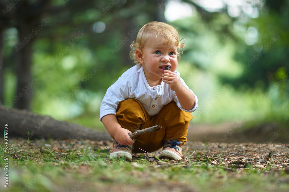 curious little child sitting in the forest studying and looking at different objects in the soil curious little child sitting in the forest studying and looking at different objects in the soil