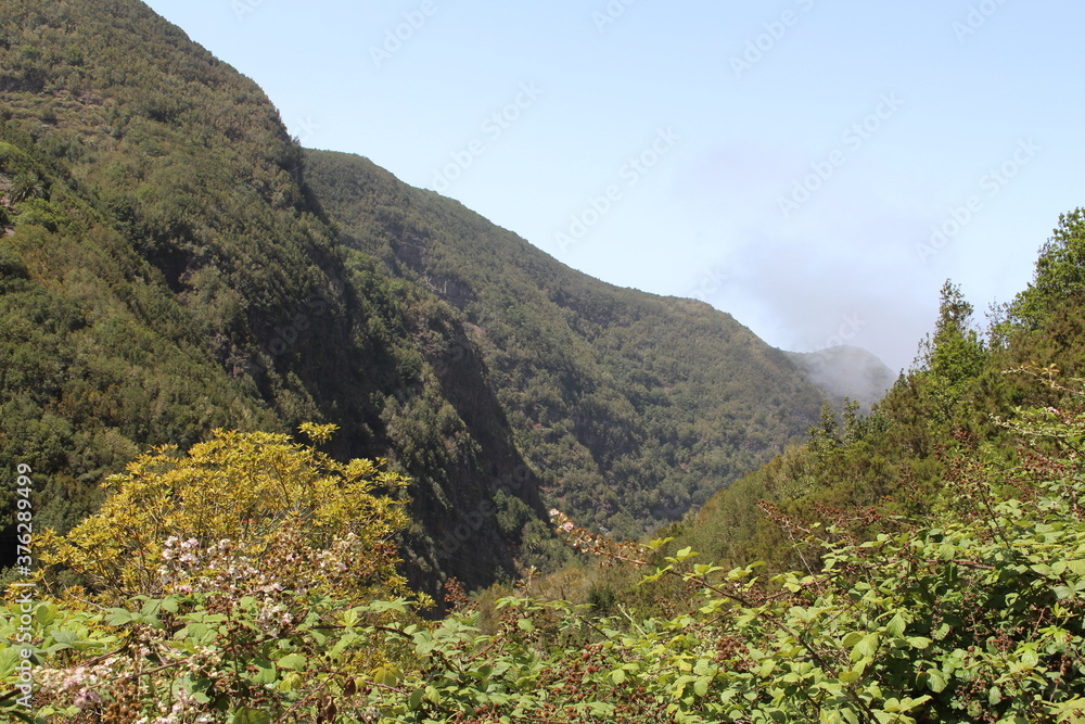 Garajonay NP La Gomera Garajonay NP La Gomera
