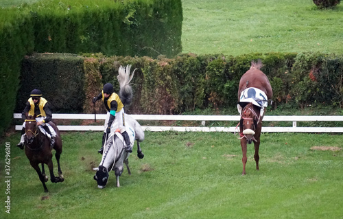 A jockey falling from a horse at the race while others running further.