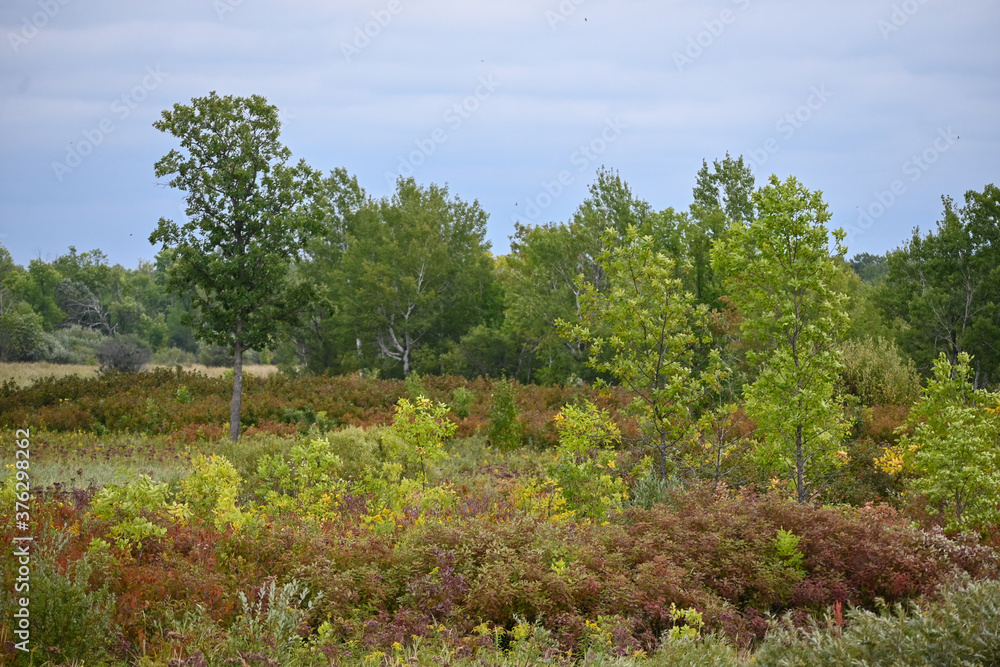 Early fall colors making a splash at the Kathio Wildlife Refuge in Minnesota.