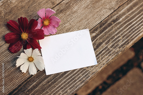 Floral stationery still life scene. Blank greeting card mock-up on old wooden table background with white and pink cosmos flowers. Flat lay, top view. Feminine birthday or wedding composition.