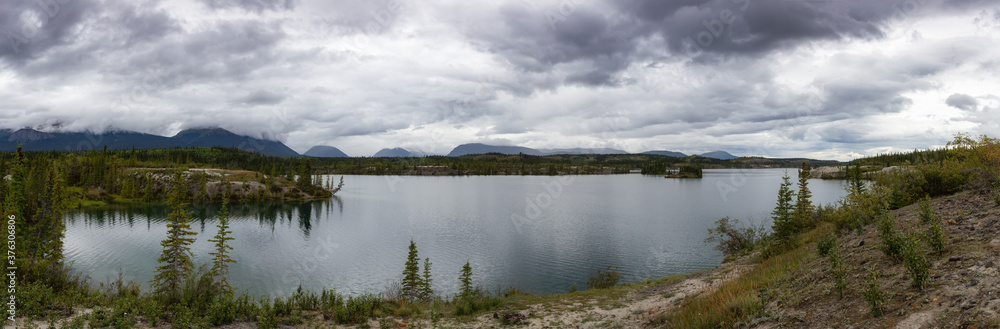 Panoramic Beautiful View of Lewes Lake during a cloudy summer day. Located near Whitehorse, Carcross, Yukon, Canada. Nature Background Panorama