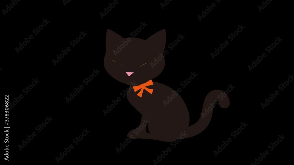 Alpha channel - Threatening black cat animation Alpha channel - Threatening black cat animation