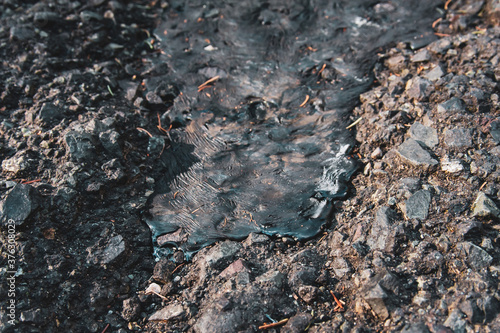 Fresh new asphalt poured onto the road in the forest.