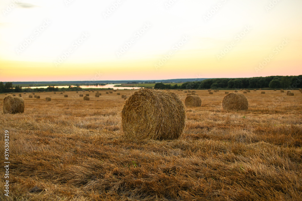 haystacks on the agricultural field at sunset