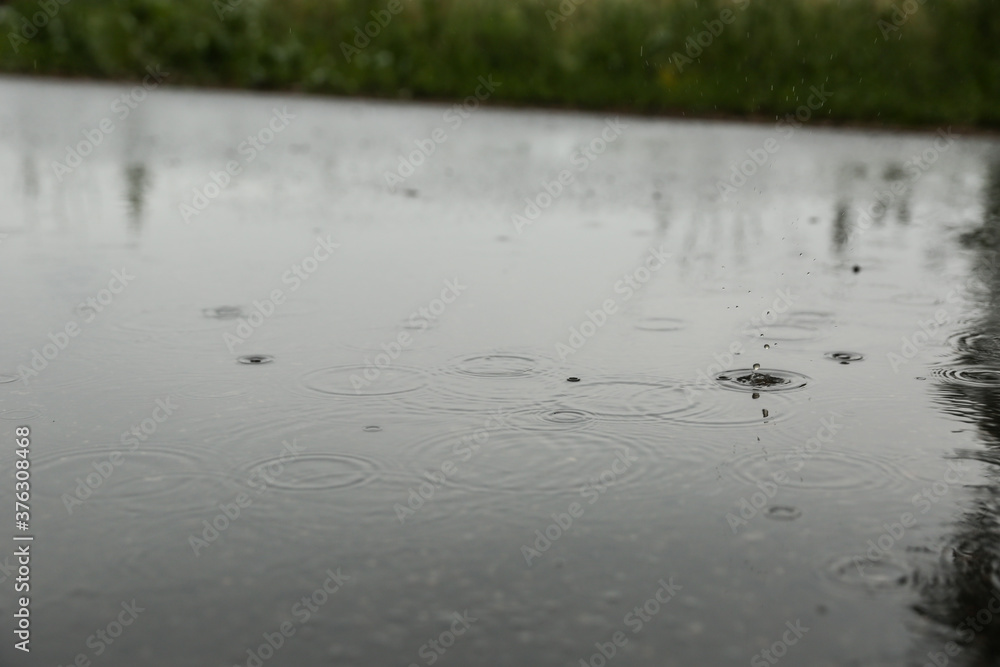 Fototapeta premium raindrops in a puddle outdoor at summer