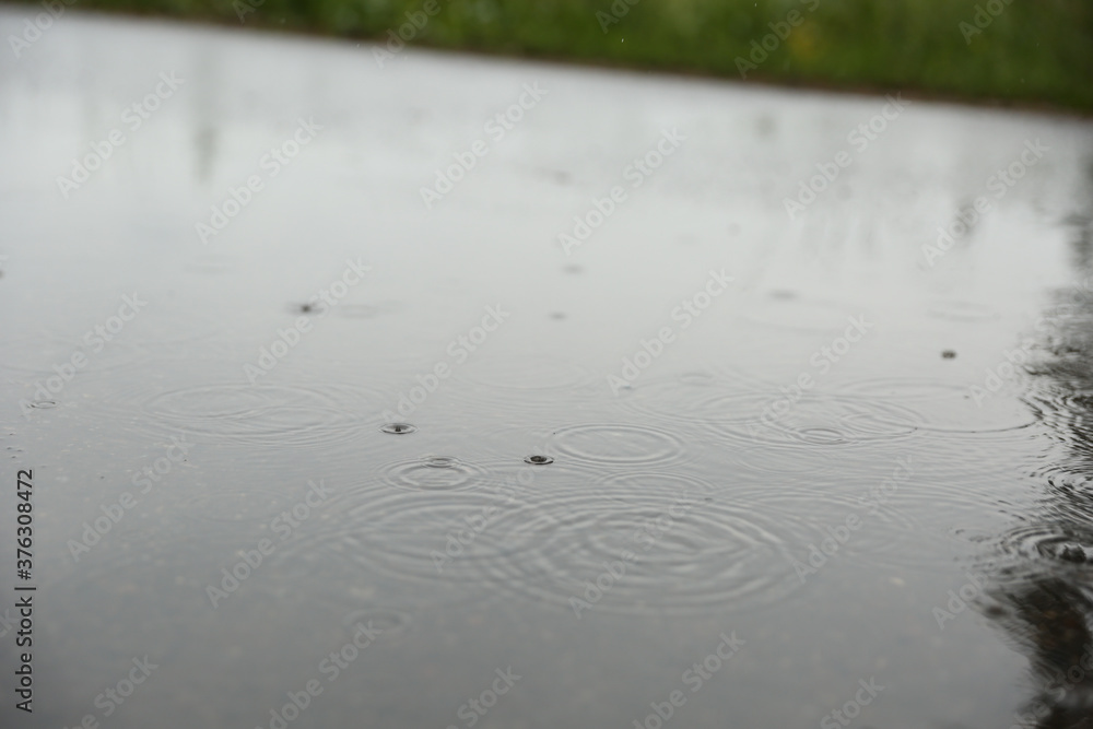 raindrops in a puddle outdoor at summer raindrops in a puddle outdoor at summer