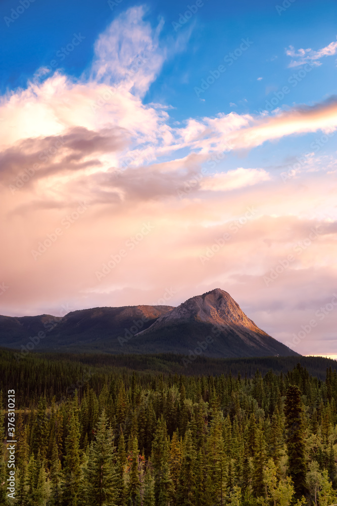 Canadian Mountain Landscape View during dramatic Sunset. Taken in Yukon, Canada. Nature Background