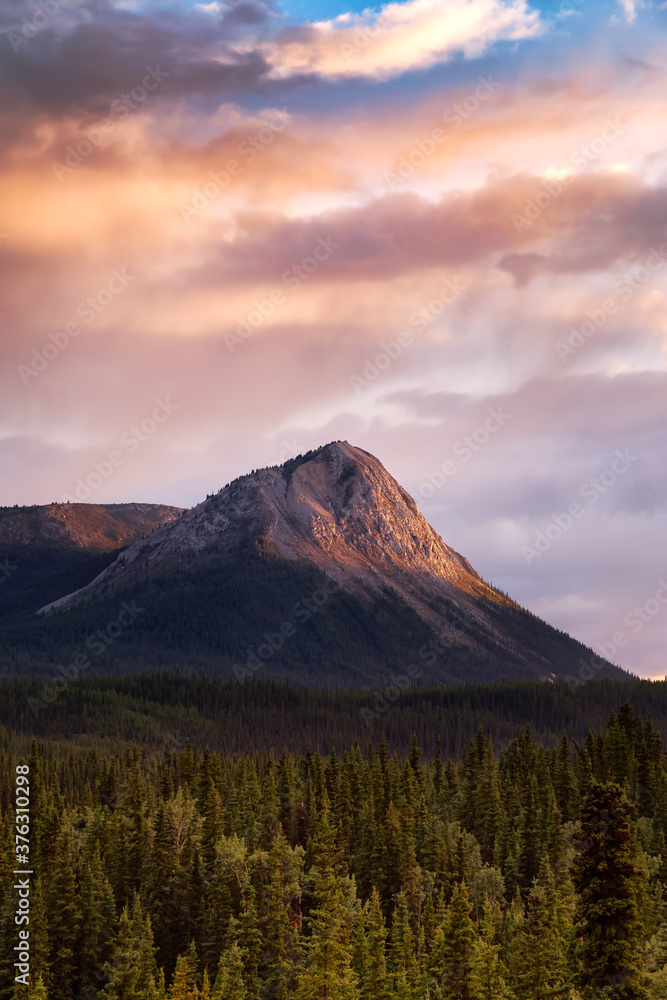 Canadian Mountain Landscape View during dramatic Sunset. Taken in Yukon, Canada. Nature Background