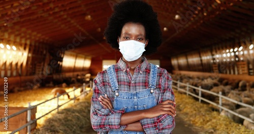 Portrait of African American young woman in medical mask and motley shirt standing in stable of sheep farm and looking at camera. Pandemic concept. Female farmer in cattle shed. Dolly shot.