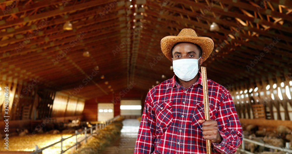 Portrait of handsome young African American man in medical mask, hat and motley shir standing in stable of sheep farm, looking at camera. Pandemic. Male farmer with pitchfork. Dolly shot.