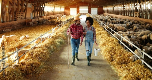 Bild auf Leinwand Two African American male and female young shepherds walking with bucket and pitchfork in barn for sheep and talking