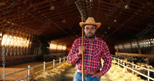 Young handsome African American man farmer holding pitchfok over shoulder and smiling in barn with livestock. Portrait of happy cheerful male shepherd in stable. Indoor. Dolly shot. Zooming in.