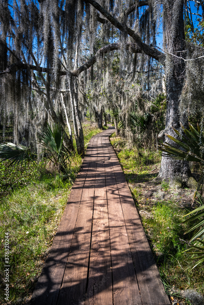 Looking Down Boardwalk and Spanish Moss Tunnel
