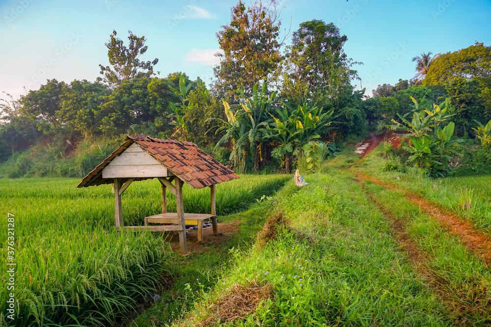 Small huts in the rice fields, beautiful view on the village Small huts in the rice fields, beautiful view on the village