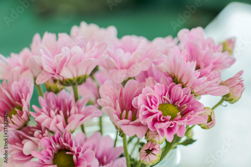 pink chrysanthemum flowers on desk