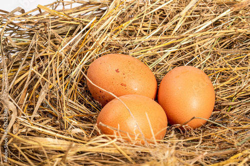 Foto fresh chicken brown eggs in a nest of hay close-up