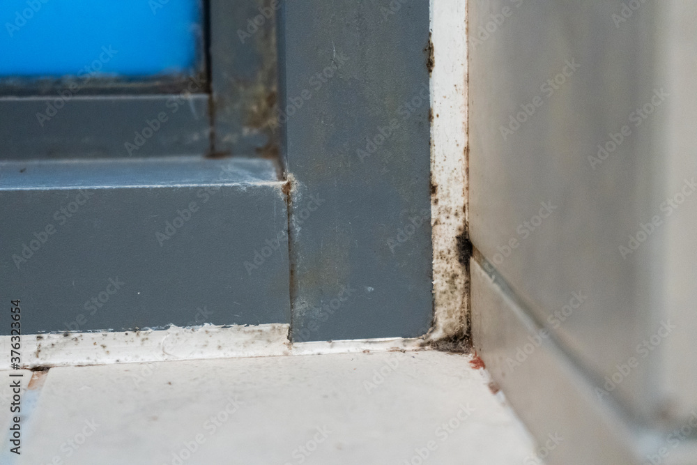 Old plastic window frame in the shower. Moldy angle, fungus. Problem areas shower. Old plastic window frame in the shower. Moldy angle, fungus. Problem areas shower.