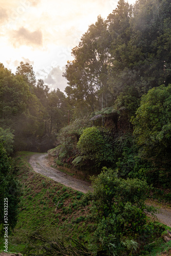 Farm track to the back of a New Zealand farm 