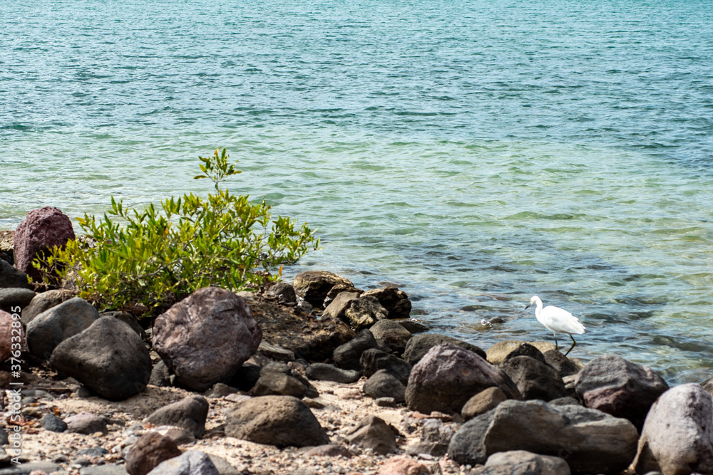 Fototapeta premium sea