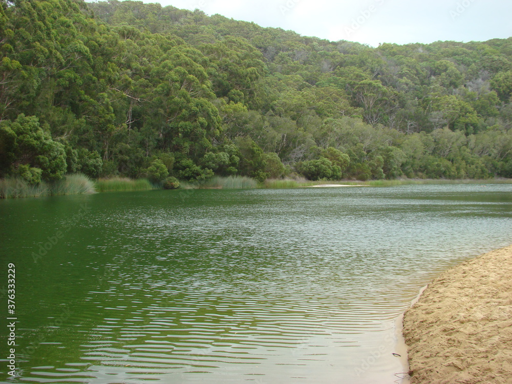 Obraz premium green lake in australia