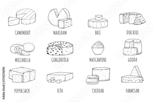 Cheese sketch. Engraved camembert, maasdam, brie, dorblue, mozzarella, gorgonzola, mascarpone, gouda, pepper jack, feta, cheddar, parmesan cheese icon set. Vector dairy product kind illustration