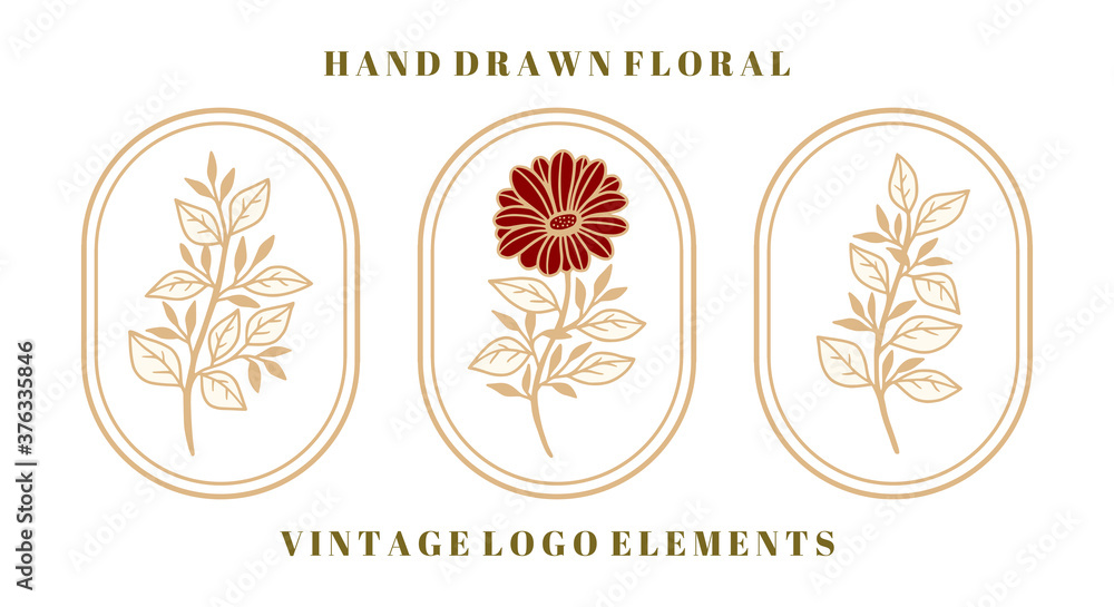 Set of vintage botanical rose flower and leaf element for feminine beauty logo and brand