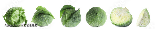 Set of fresh ripe cabbages on white background. Banner design