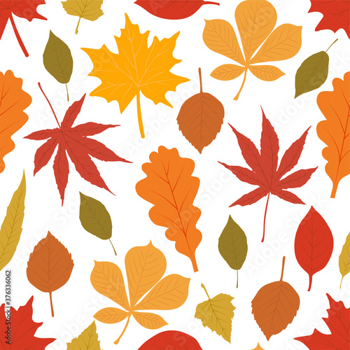 Autumn seamless patterns. Fall leaves. 