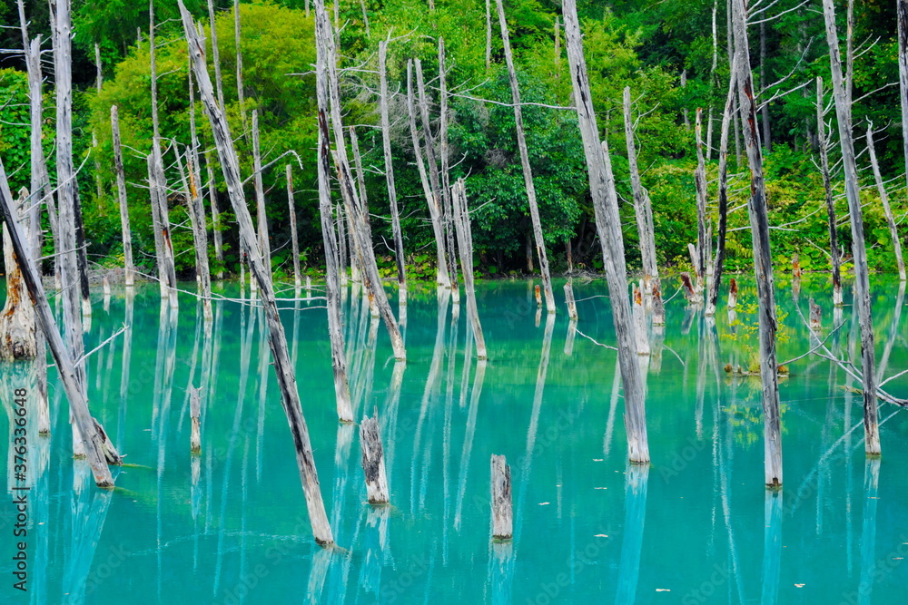 美しい青い池 美しい青い池