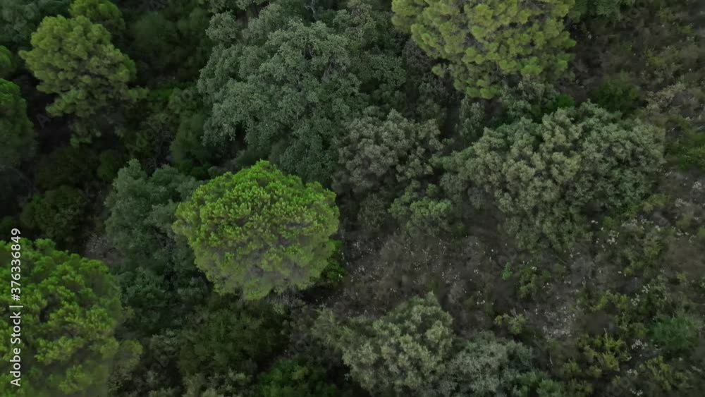 Backwards aerial view of forest mountains Backwards aerial view of forest mountains